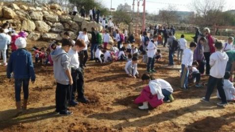 נטיעות ט"ו בשבט