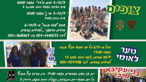 פעילות תנועות הנוער