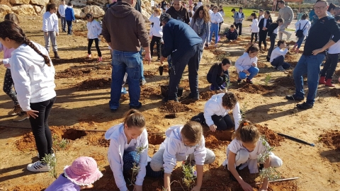 כיתות ד' בנטיעות בפארק הנחל