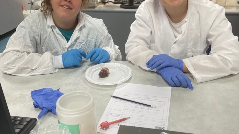 WhatsApp Image 2023-01-25 at 15.49.37 (3).jpeg